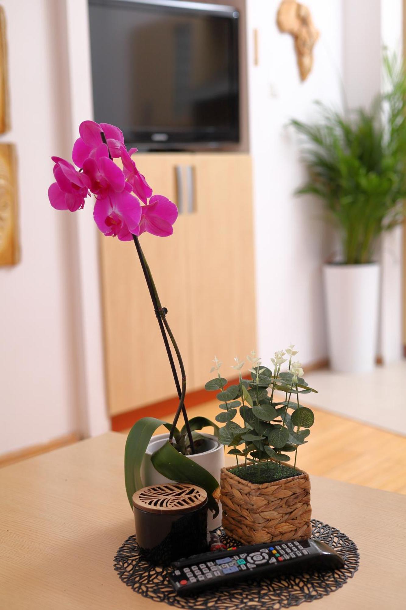 Apartament Sloneczny 5 Opole Kültér fotó
